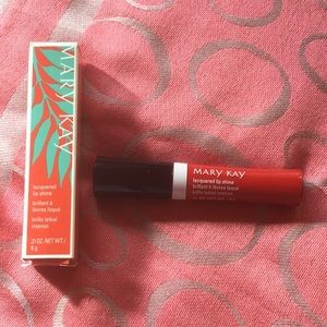 Mary Kay lacquered lip shine